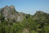 Thailand Trees
